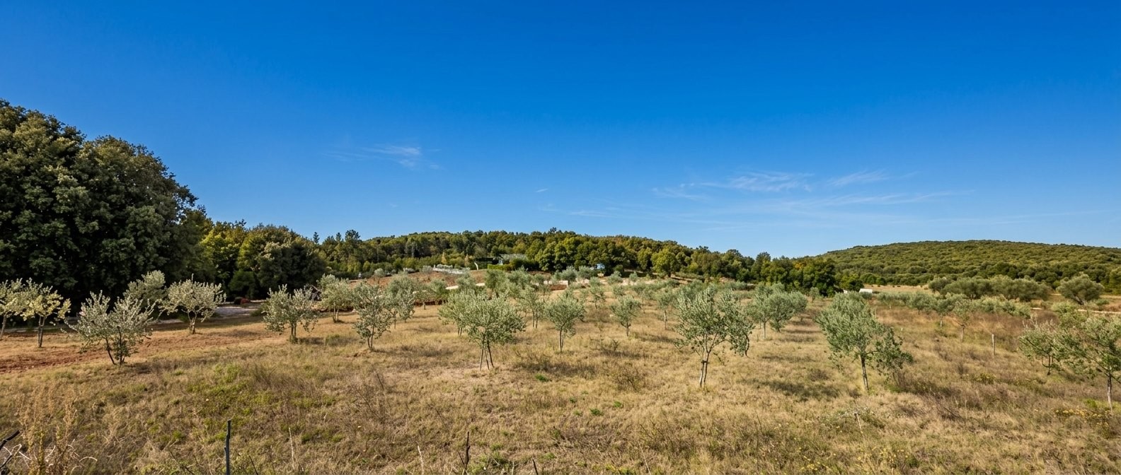 Maslinik Valalta Rovinj, #Rovinj, #Hrvatska