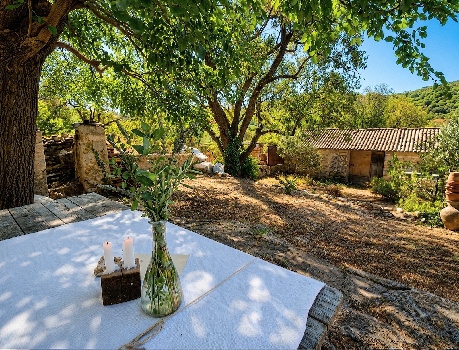 _house-vis_-with-garden_3n.jpg