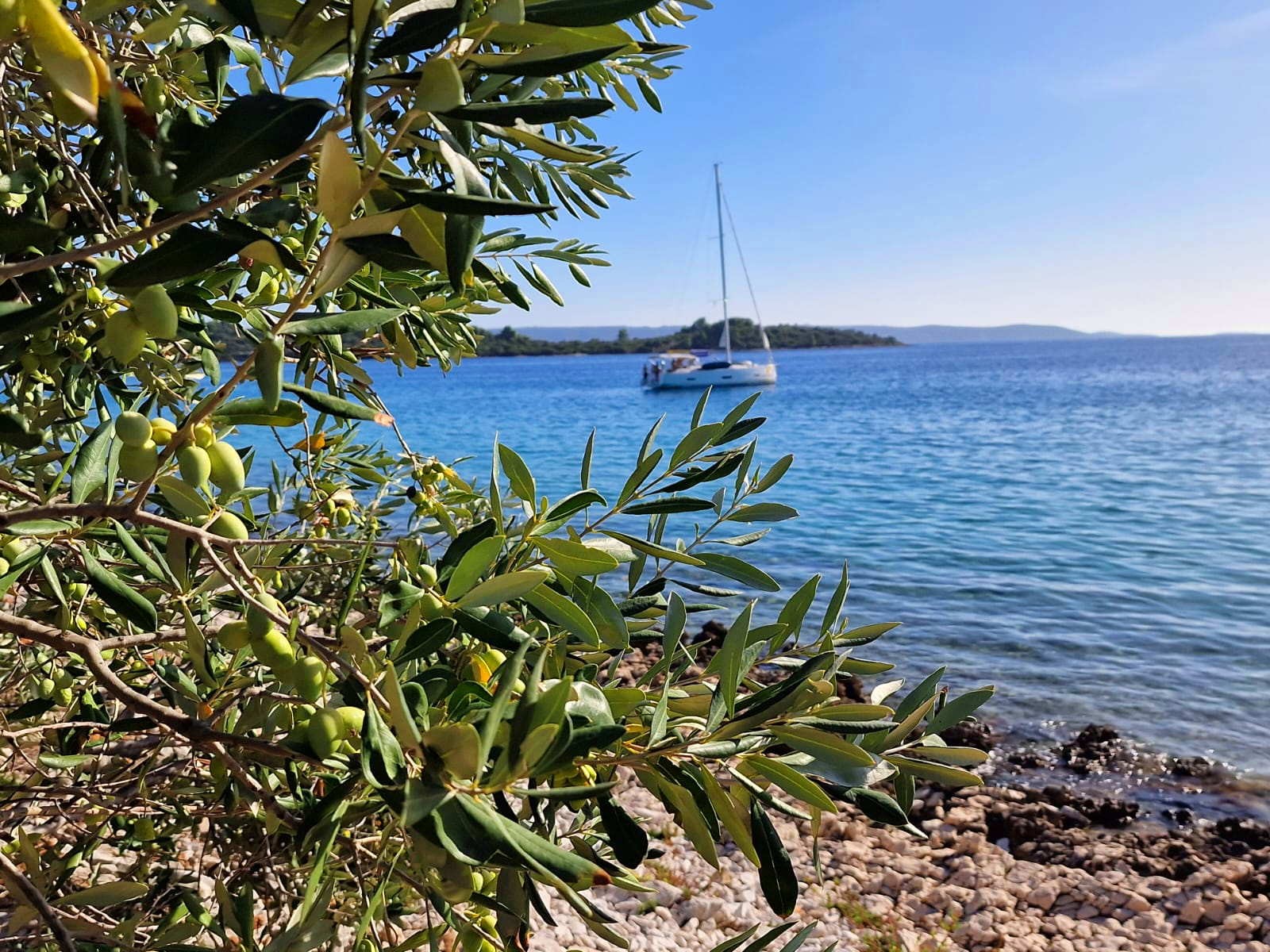 house-for-sale_sea-view_olive-grove-_trogir_15.jpg