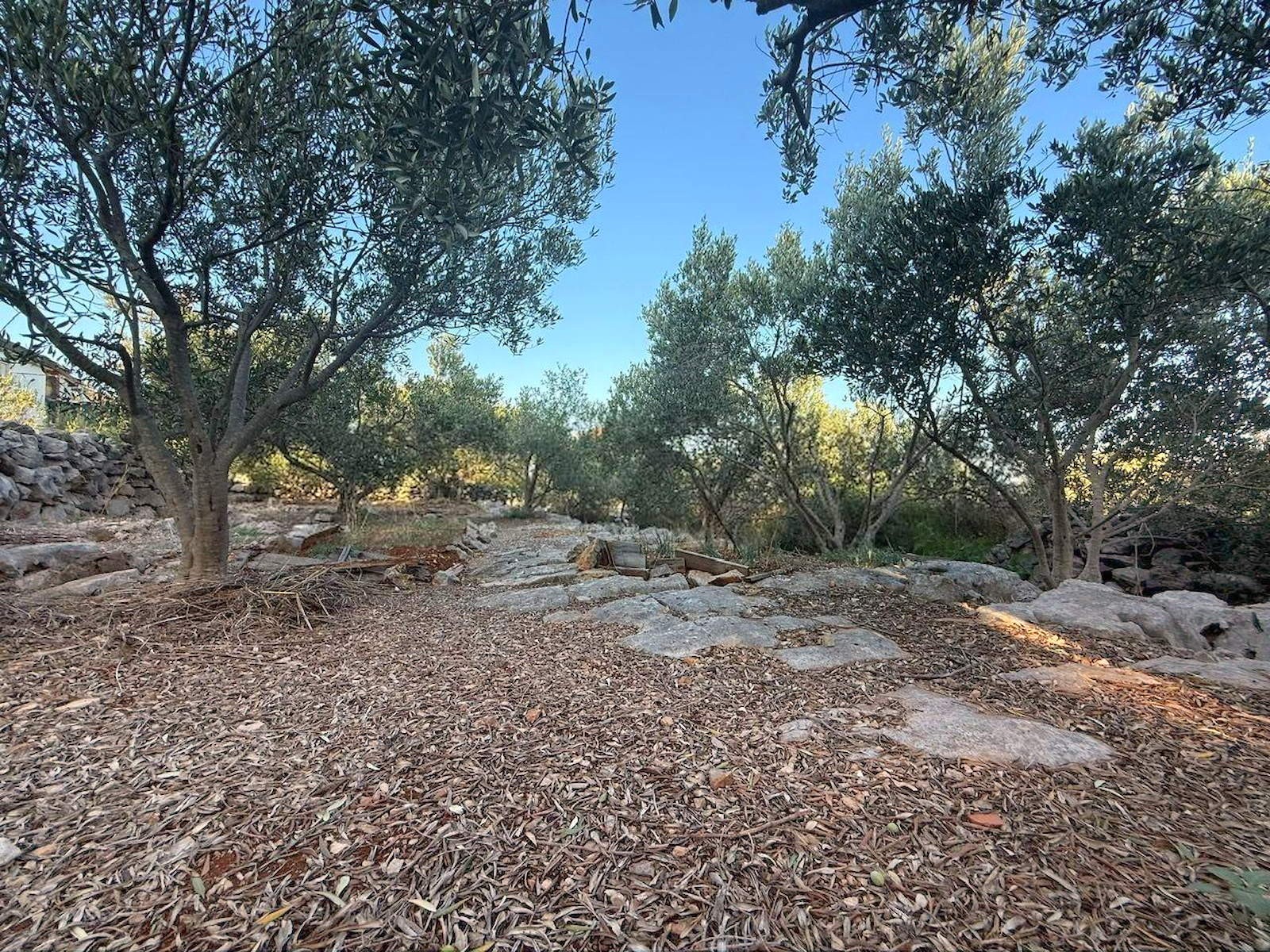 house-for-sale_sea-view_olive-grove-_trogir_5.jpg
