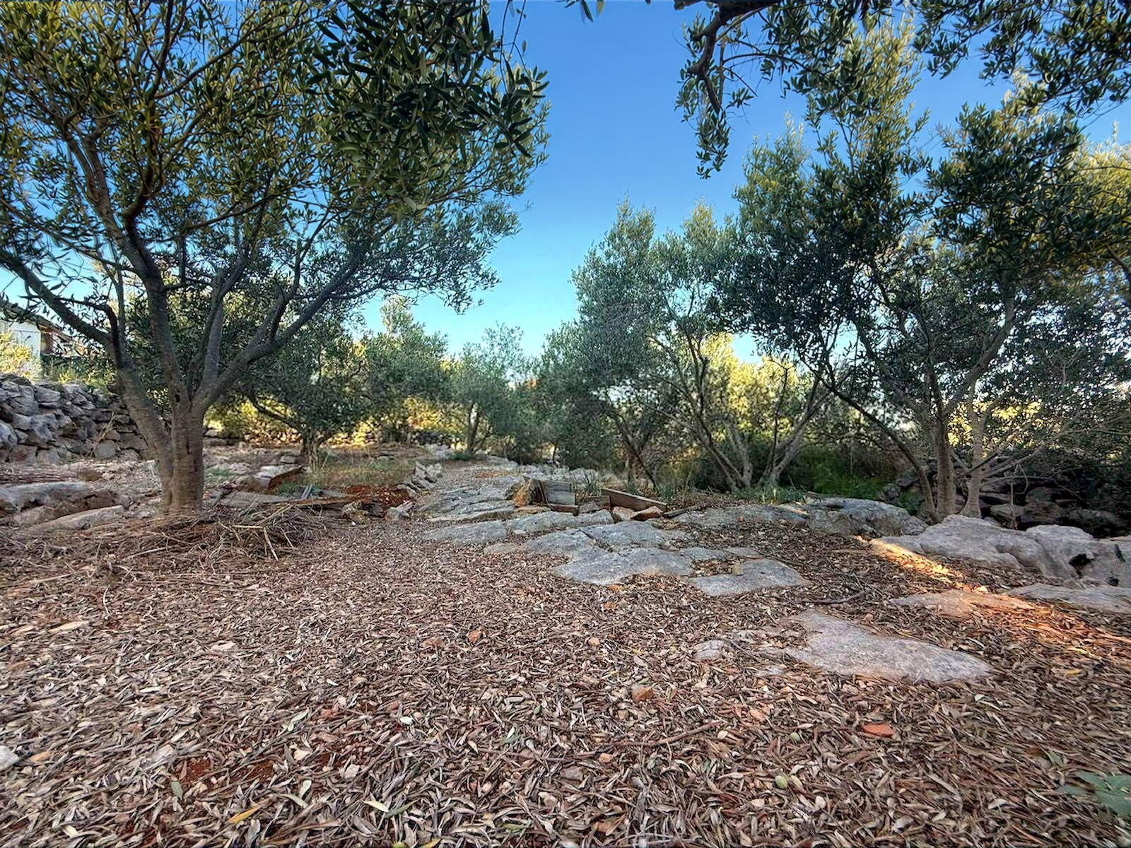 house-for-sale_sea-view_olive-grove-_trogir_5nnn.jpg