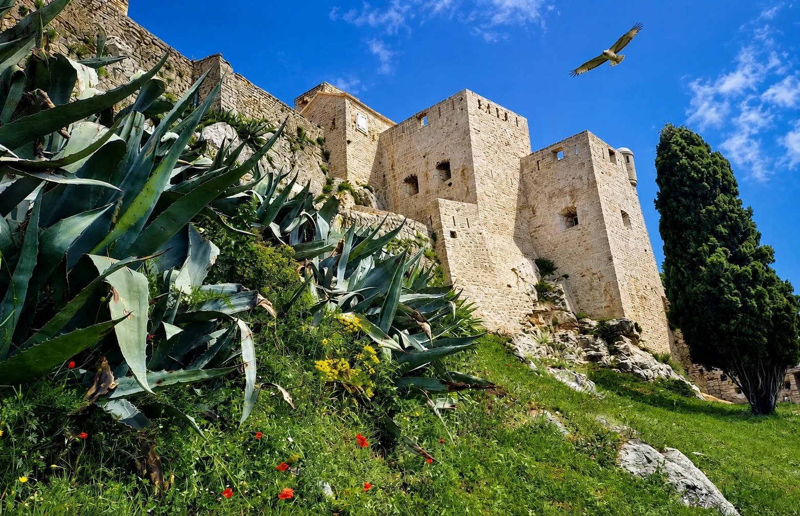croatia_building_plot_seaview_split_14.jpg