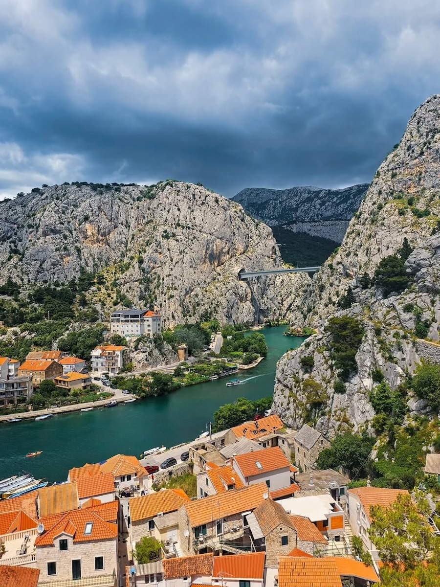 omis_3.jpg